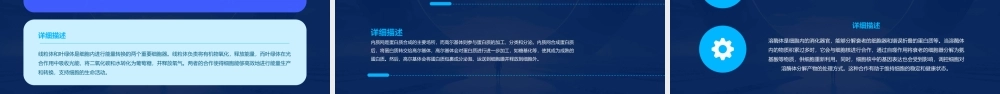 细胞器的合作和细胞核课件