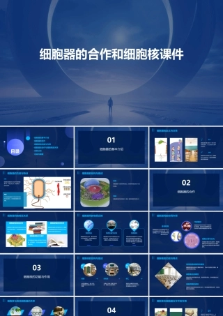 细胞器的合作和细胞核课件