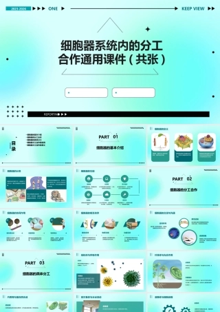 细胞器系统内的分工合作通用课件(共张)