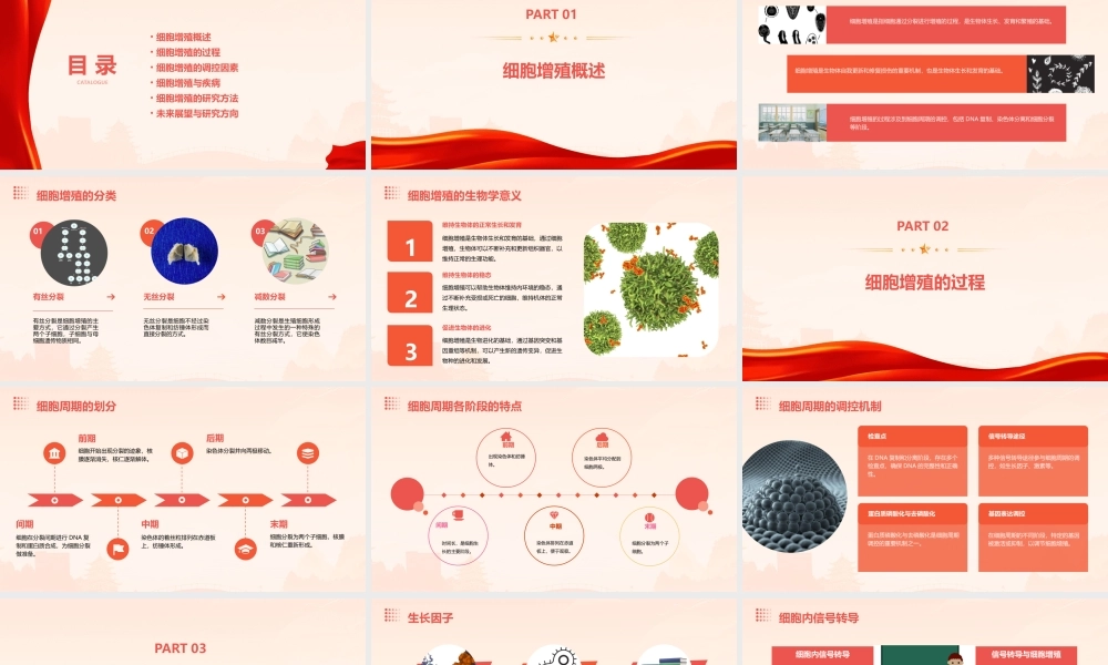 细胞增殖资料课件