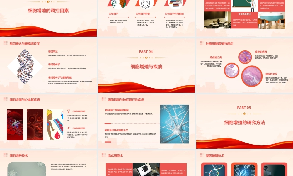 细胞增殖资料课件