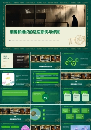 细胞和组织的适应损伤与修复