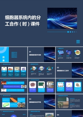 细胞器系统内的分工合作(时)课件