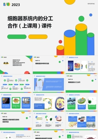 细胞器系统内的分工合作(上课用)课件