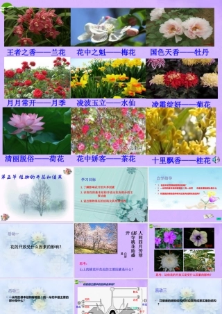 七年级生物上册 5.5植物的开花和结果课件 苏教版 课件