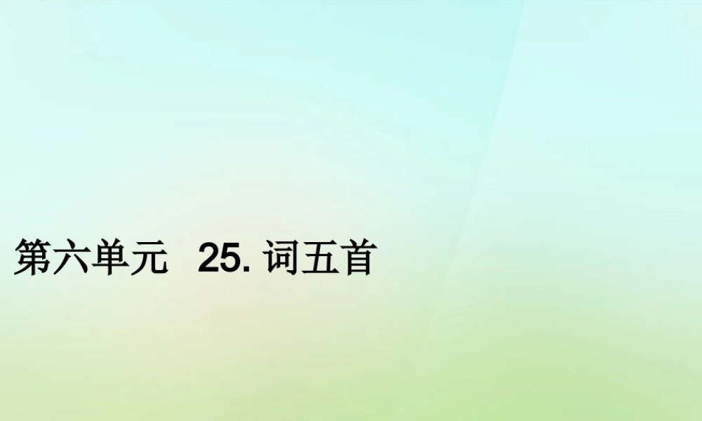 九年级语文上册 第六单元 25词五首习题课件 新人教版 课件