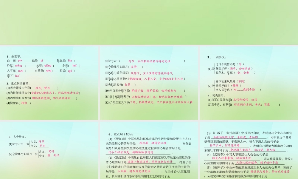 九年级语文上册 第六单元 25词五首习题课件 新人教版 课件