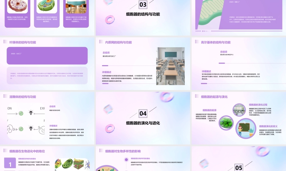 细胞器——系统内的分工合作详细课件