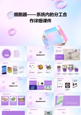 细胞器——系统内的分工合作详细课件