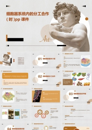 细胞器系统内的分工合作(时)pp课件