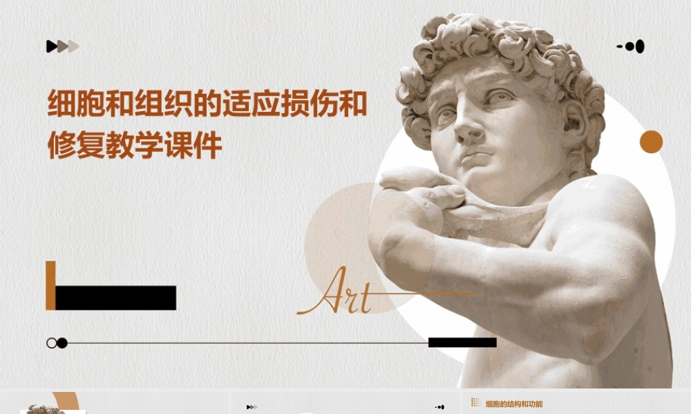 细胞和组织的适应损伤和修复教学课件