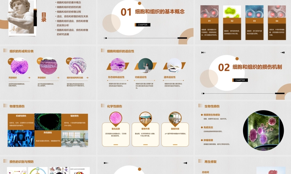 细胞和组织的适应损伤和修复教学课件
