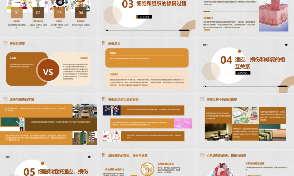 细胞和组织的适应损伤和修复教学课件