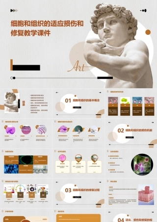 细胞和组织的适应损伤和修复教学课件