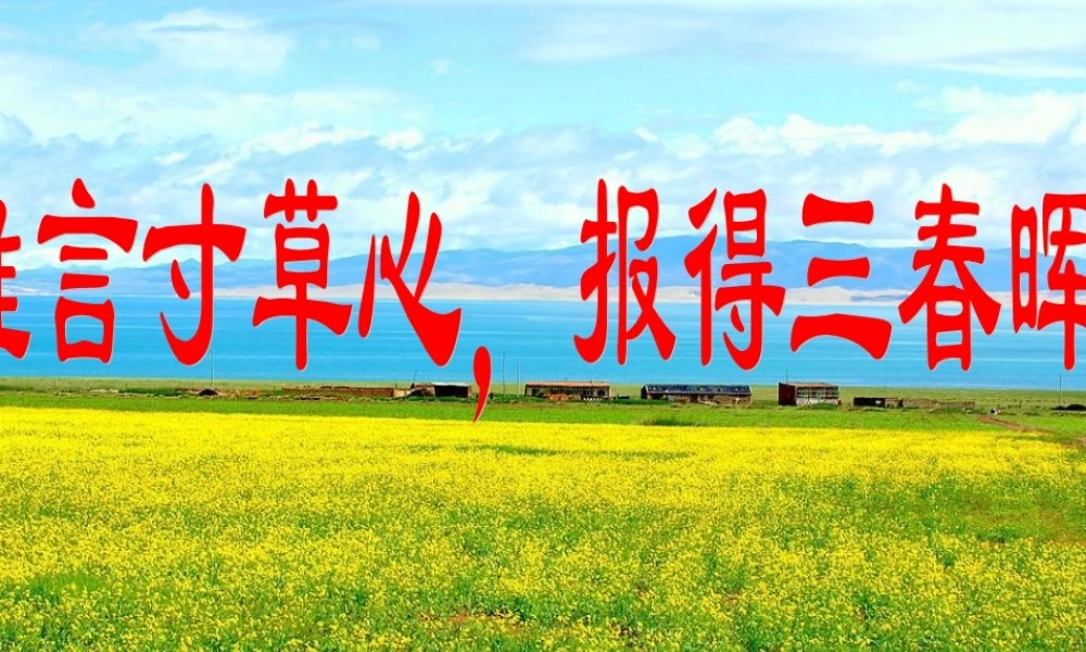 八年级政治上册 孝敬父母课件 教科版 课件