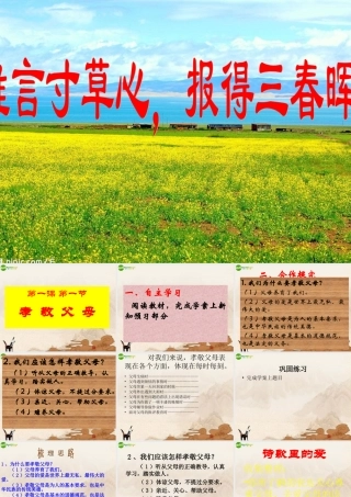八年级政治上册 孝敬父母课件 教科版 课件