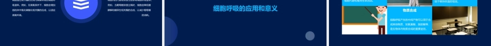 细胞呼吸适合一轮复习自己做的公开课课件