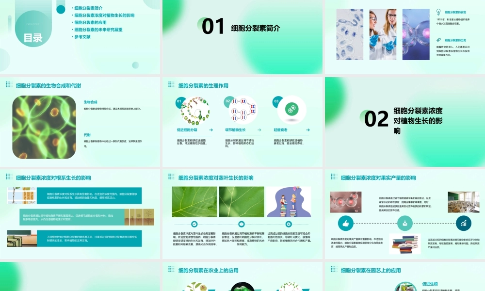 细胞分裂素浓度课件