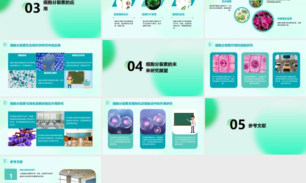 细胞分裂素浓度课件