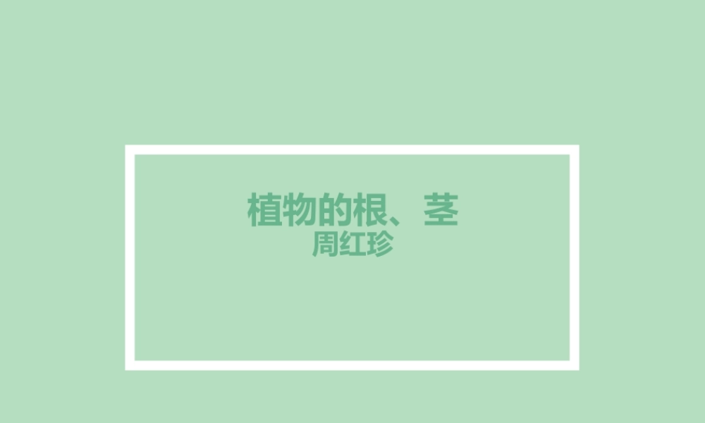 植物的根、茎