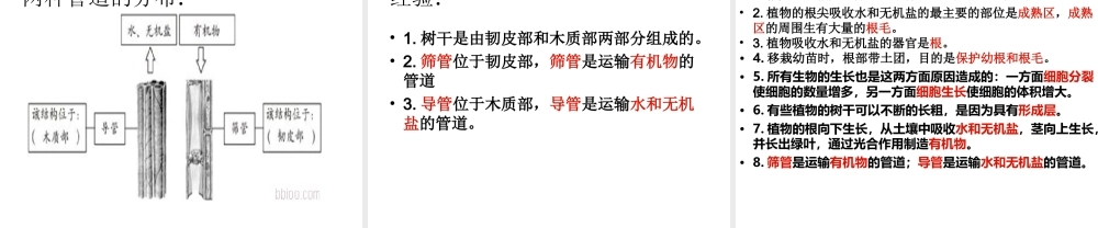 植物的根、茎