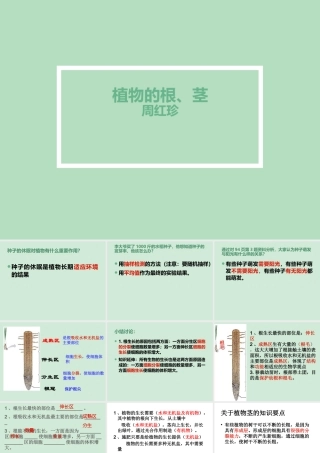 植物的根、茎