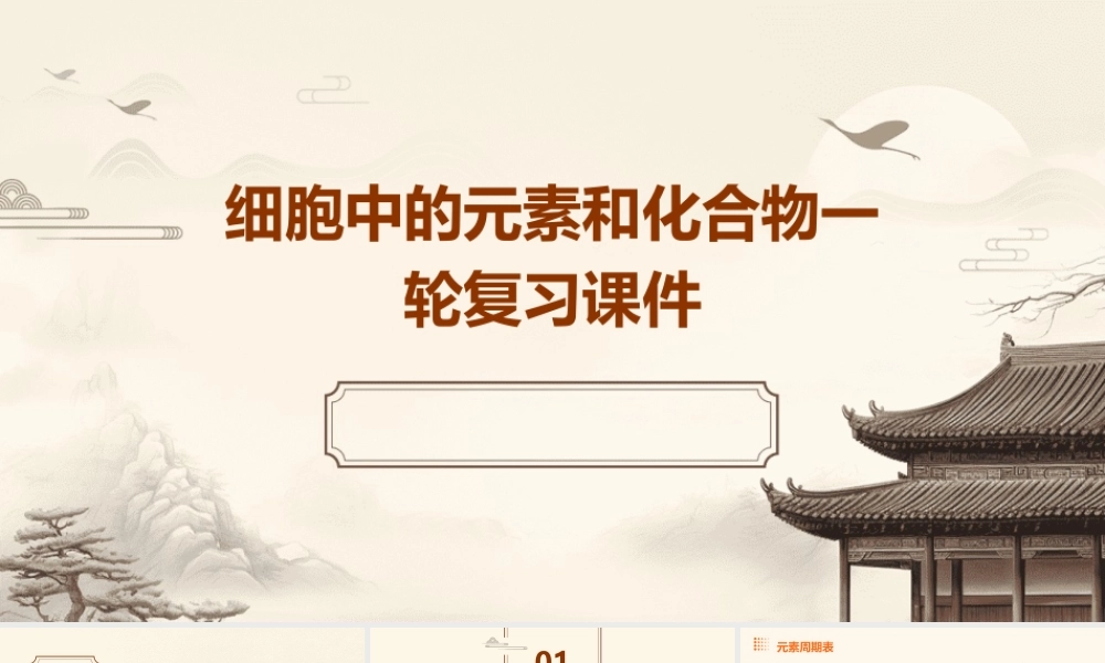细胞中的元素和化合物一轮复习课件