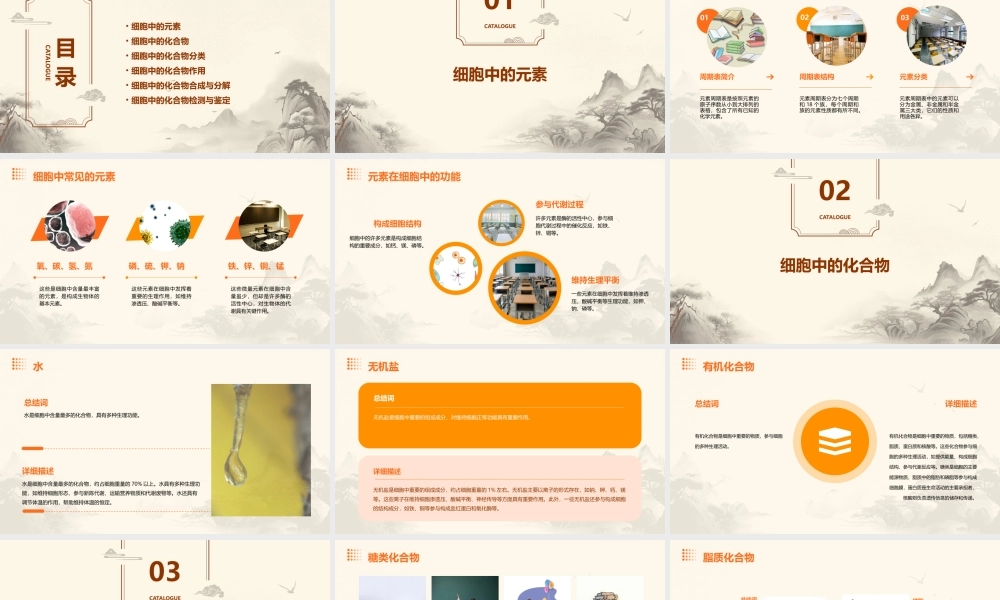 细胞中的元素和化合物一轮复习课件