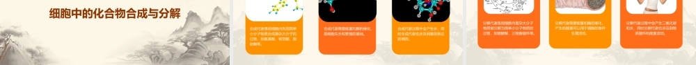 细胞中的元素和化合物一轮复习课件