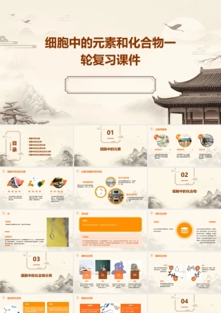 细胞中的元素和化合物一轮复习课件