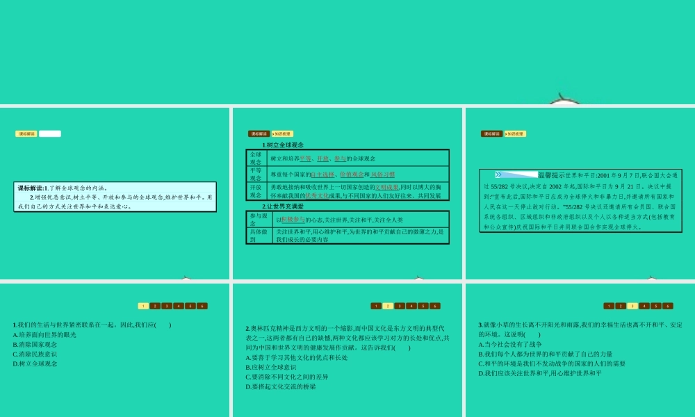 九年级政治全册 第一单元 世界在我心中 第三节 面向世界的眼光课件 湘教版 课件