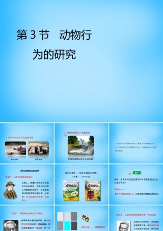 八年级生物上册 第16章 第3节(动物行为的研究)课件2 北师大版 课件