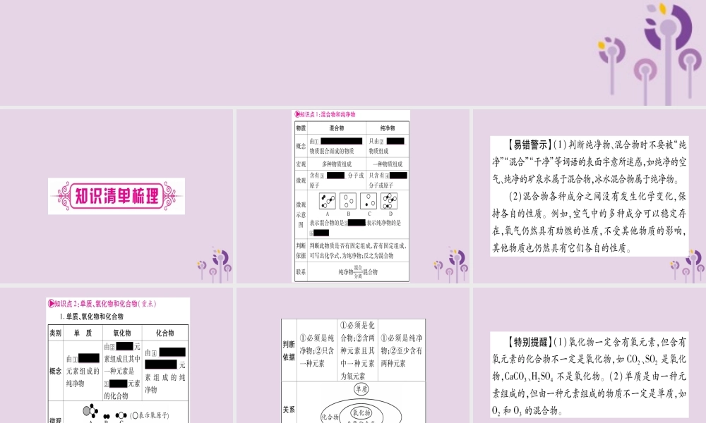 中考化学复习 第一部分 基础知识 第二单元 化学基本概念和原理 第10讲 物质的分类(精讲)课件