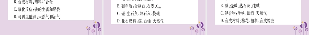 中考化学复习 第一部分 基础知识 第二单元 化学基本概念和原理 第10讲 物质的分类(精讲)课件