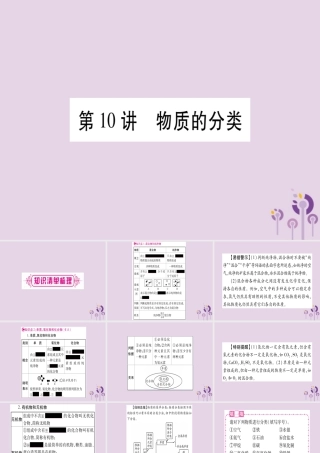 中考化学复习 第一部分 基础知识 第二单元 化学基本概念和原理 第10讲 物质的分类(精讲)课件