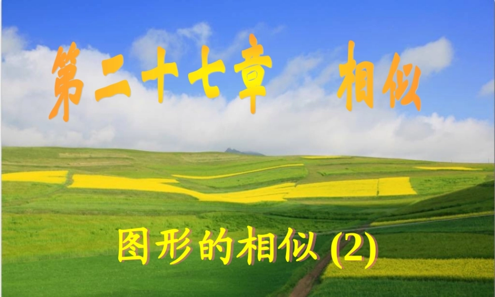 九年级数学271  图形的相似2课件