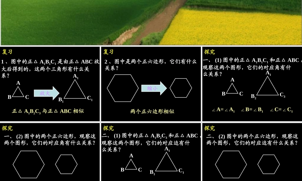 九年级数学271  图形的相似2课件
