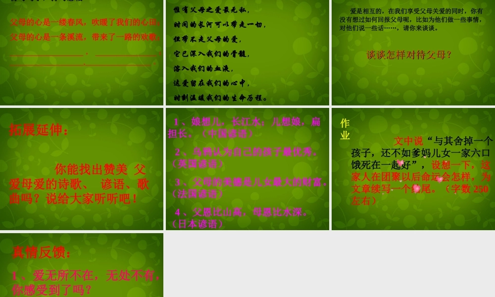 八年级语文上册 15 父母的心课件 苏教版 课件