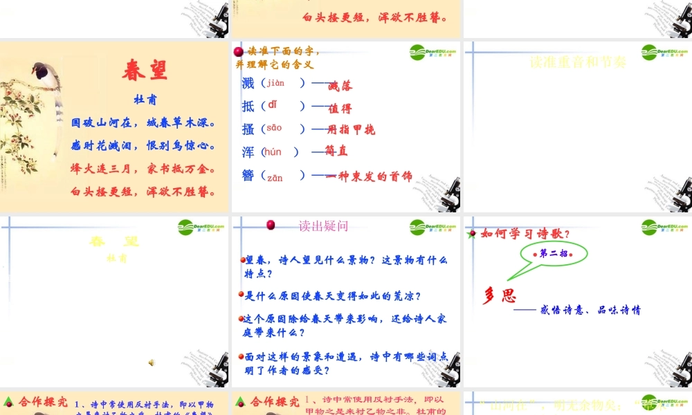 八年级语文上册 第五单元之(春望)课件 新人教版 课件