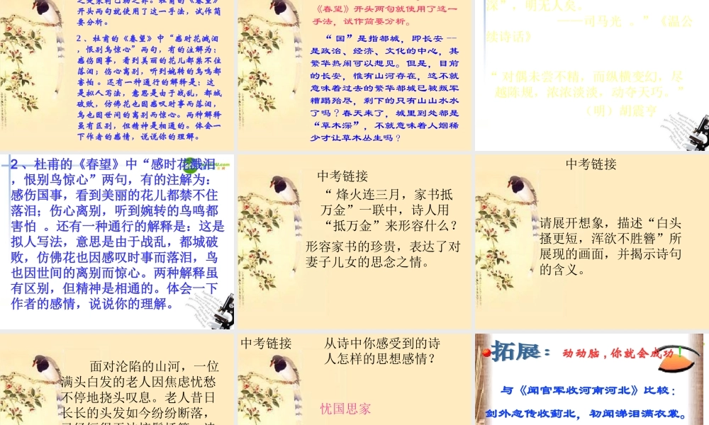 八年级语文上册 第五单元之(春望)课件 新人教版 课件