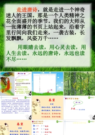 八年级语文上册 第五单元之(春望)课件 新人教版 课件