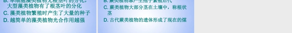 中学七年级生物上册 绿色植物的主要类群课件 鲁科版 课件