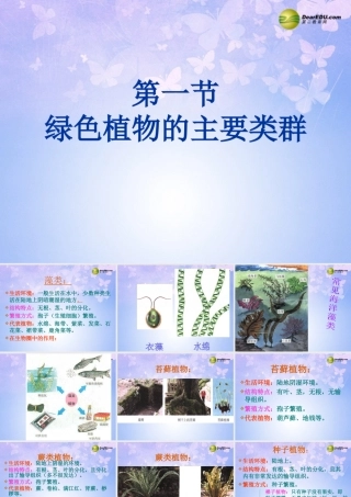 中学七年级生物上册 绿色植物的主要类群课件 鲁科版 课件