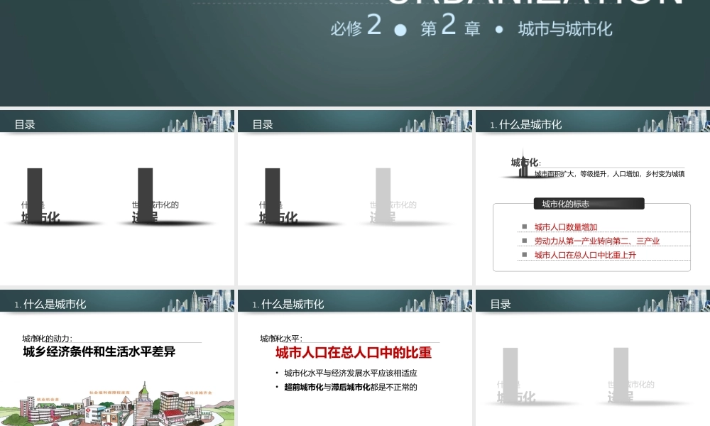 【原创】创新课件第二版高中地理同步教学精品课件：必修223城市化（18张）