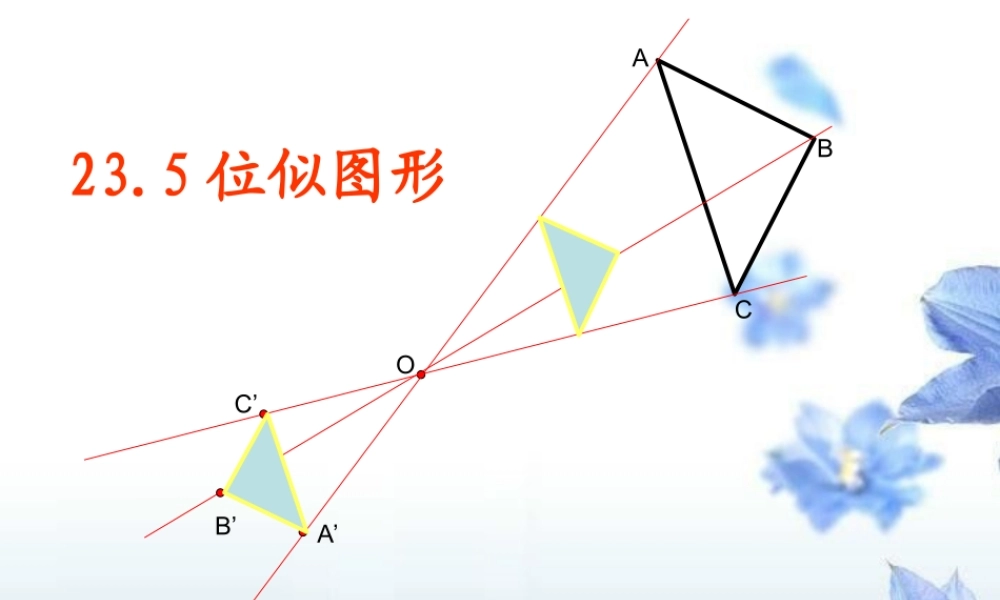 九年级数学下册(位似图形)课件 新人教版 课件