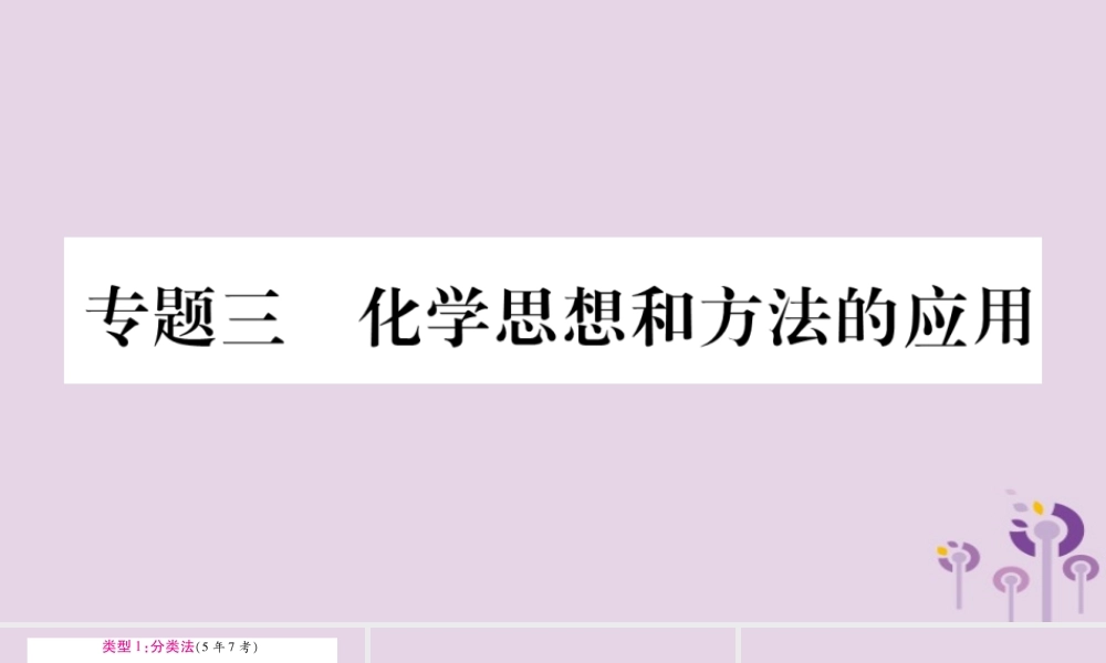 中考化学复习 第二部分 重难题型专题突破 专题三 化学思想和方法的应用(精讲)课件