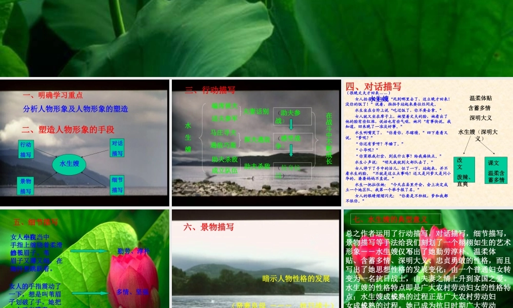 孙犁-荷花淀课件3