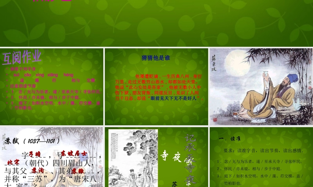 八年级语文上册 17 记承天寺夜游课件 苏教版 课件