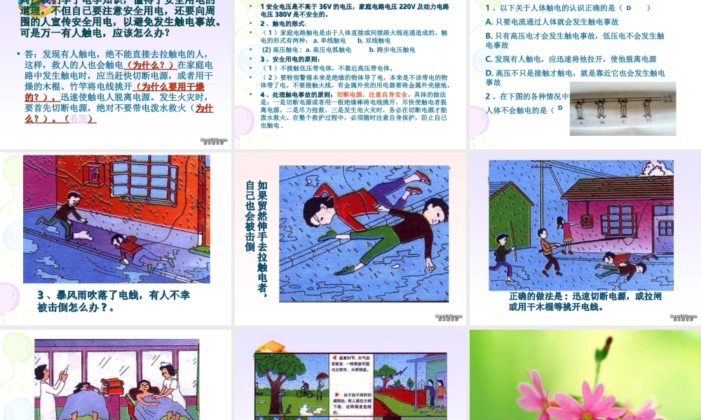 初三物理安全用电 课件