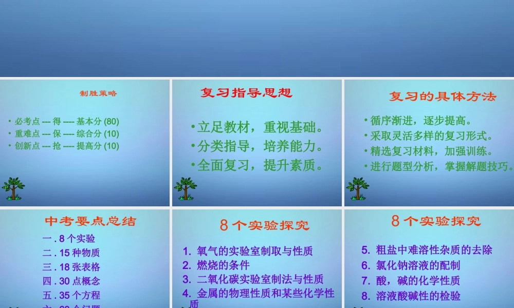 中考化学 制胜策略复习课件